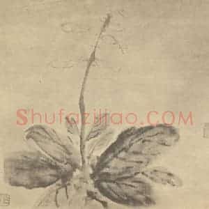 明代 徐渭国画作品《玉簪花》摘自 南画大成 卷四