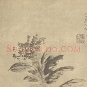 明代 徐渭国画作品《鸡冠花》摘自 南画大成 卷四
