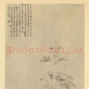 明代 沈周国画作品《芙蓉图》摘自 南画大成 卷四