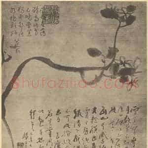 清代 朱耷国画作品《茉莉》摘自 南画大成 卷四