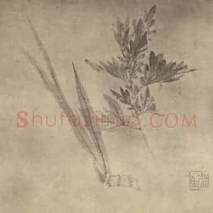 清代 朱耷国画作品《艾蒲》摘自 南画大成 卷四