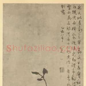 清代 朱耷国画作品《荔枝图》摘自 南画大成 卷四