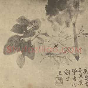 清代 朱耷国画作品《杂花》摘自 南画大成 卷四