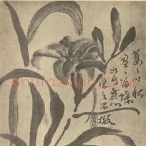 清代 陈舒国画作品《萱草》摘自 南画大成 卷四