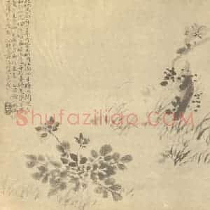 清代 王正国画作品《莲华草图》摘自 南画大成 卷四