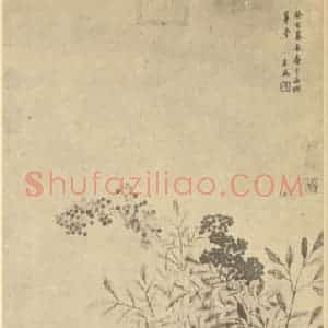 清代 王武国画作品《天竺水仙图》摘自 南画大成 卷四
