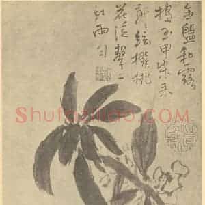 清代 顚道人国画作品《凤仙花》摘自 南画大成 卷四
