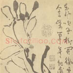 清代 顚道人国画作品《辛夷花》摘自 南画大成 卷四