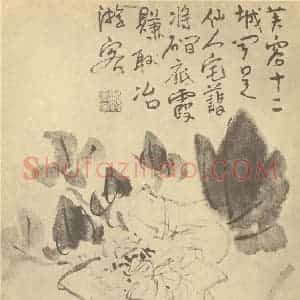 清代 顚道人国画作品《芙蓉》摘自 南画大成 卷四