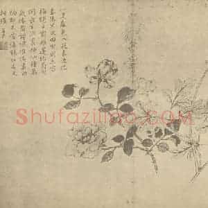 清代 蒋廷锡国画作品《蔷薇鱼子牡丹》摘自 南画大成 卷四