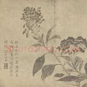 清代 蒋廷锡国画作品《鸡冠花》摘自 南画大成 卷四