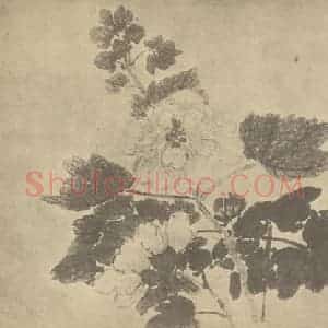 清代 蒋廷锡国画作品《秋葵》摘自 南画大成 卷四