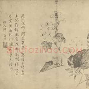 清代 蒋廷锡国画作品《秋海棠鸟头》摘自 南画大成 卷四