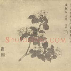 清代 蒋廷锡国画作品《茉莉》摘自 南画大成 卷四