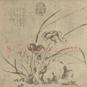清代 蒋廷锡国画作品《芝兰图》摘自 南画大成 卷四