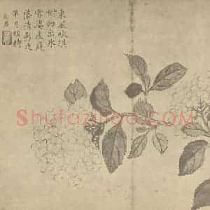 清代 蒋廷锡国画作品《绣球》摘自 南画大成 卷四