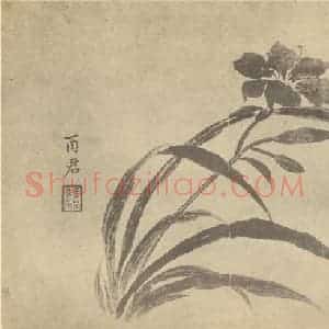 清代 蒋廷锡国画作品《萱草》摘自 南画大成 卷四