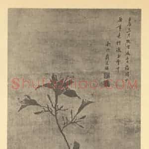 清代 蒋廷锡国画作品《萱花图》摘自 南画大成 卷四