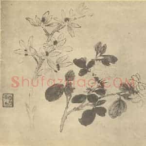 清代 蒋廷锡国画作品《蕙茉莉》摘自 南画大成 卷四