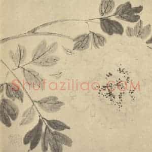 清代 王武国画作品《牡丹》摘自 南画大成 卷五