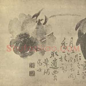 清代 边寿民国画作品《牡丹》摘自 南画大成 卷五