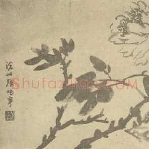 清代 张赐宁国画作品《牡丹》摘自 南画大成 卷五