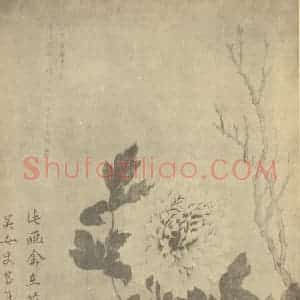 清代 吴规臣国画作品《牡丹》摘自 南画大成 卷五
