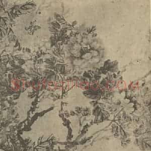 清代 赵之谦国画作品《牡丹图》摘自 南画大成 卷五
