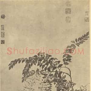 清代 邹一桂国画作品《芍药藤花》摘自 南画大成 卷五