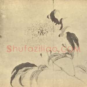 清代 邹一桂国画作品《芍药》摘自 南画大成 卷五