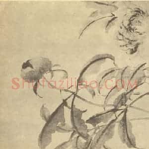 清代 吴熙载国画作品《芍药》摘自 南画大成 卷五