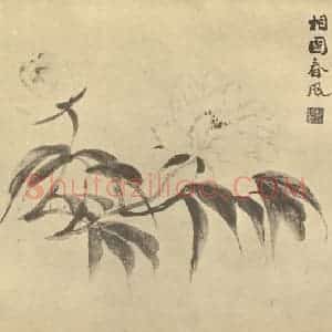 清代 陈豪国画作品《芍药》摘自 南画大成 卷五
