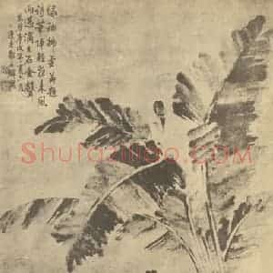 清代 邹之麟国画作品《蕉石图》摘自 南画大成 卷五