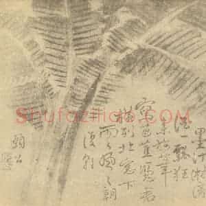 清代 边寿民国画作品《芭蕉》摘自 南画大成 卷五