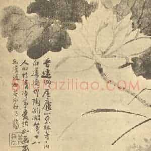 清代 道济国画作品《荷花图》摘自 南画大成 卷五