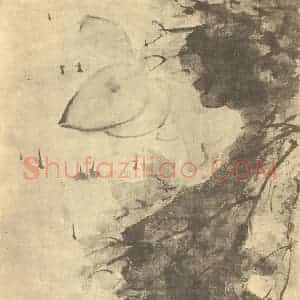 清代 道济国画作品《荷花图》摘自 南画大成 卷五