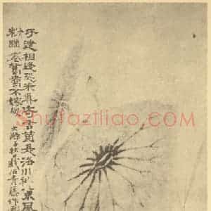 清代 道济国画作品《荷花图》摘自 南画大成 卷五