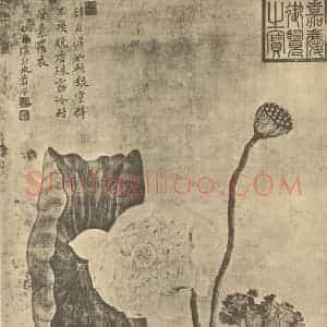 清代 恽寿平国画作品《荷花图》摘自 南画大成 卷五