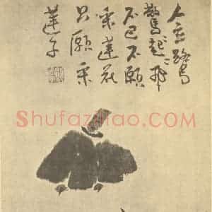 清代 颠道人国画作品《莲子》摘自 南画大成 卷五