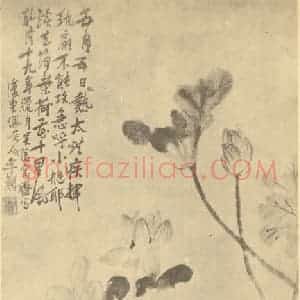 清代 李鳝国画作品《荷花图》摘自 南画大成 卷五