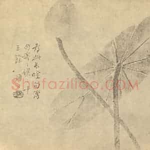 清代 边寿民国画作品《菡萏图》摘自 南画大成 卷五