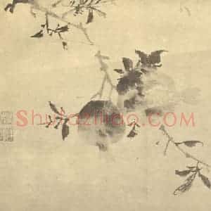 明代 陈淳国画作品《石榴》摘自 南画大成 卷五