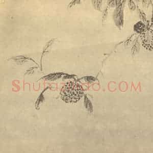 明代 陈淳国画作品《荔枝》摘自 南画大成 卷五