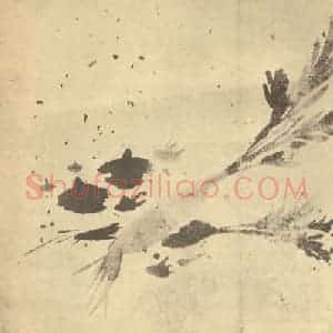 明代 徐渭国画作品《莱菔图》摘自 南画大成 卷五