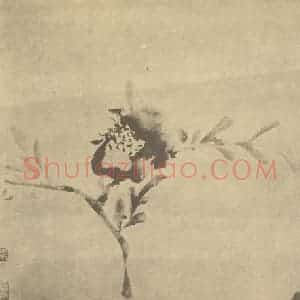 明代 徐渭国画作品《石榴》摘自 南画大成 卷五