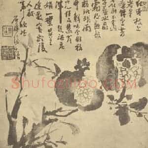 清代 道济国画作品《石榴》摘自 南画大成 卷五