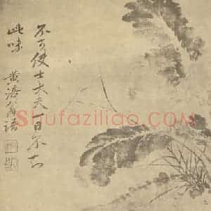 清代 恽寿平国画作品《蔬菜图》摘自 南画大成 卷五