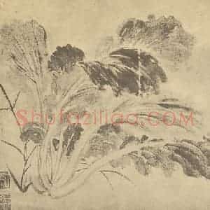 清代 恽寿平国画作品《蔬菜图》摘自 南画大成 卷五