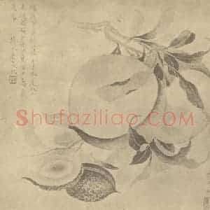 清代 王概国画作品《桃实》摘自 南画大成 卷五