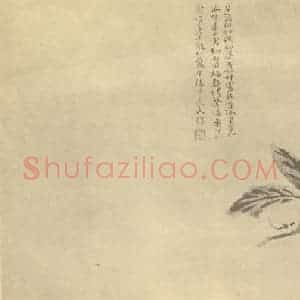 清代 陈撰国画作品《枇杷》摘自 南画大成 卷五